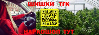 тгк Пугачёв