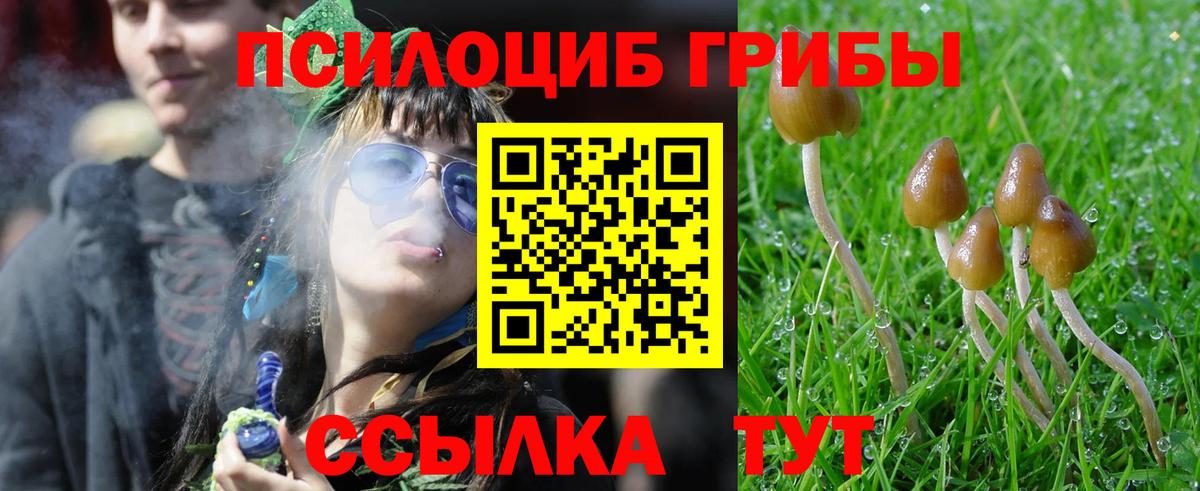 закладка  Галлюциногенные грибы мухоморы  Вход с VPN  Дятьково 