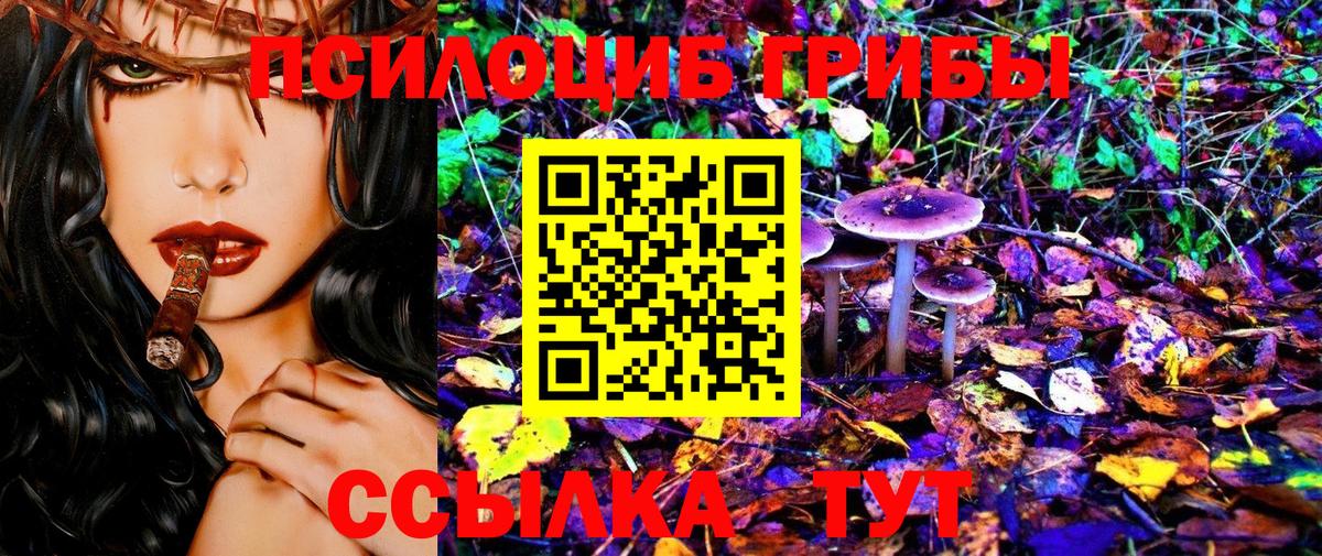 Псилоцибиновые грибы ЛСД Дятьково