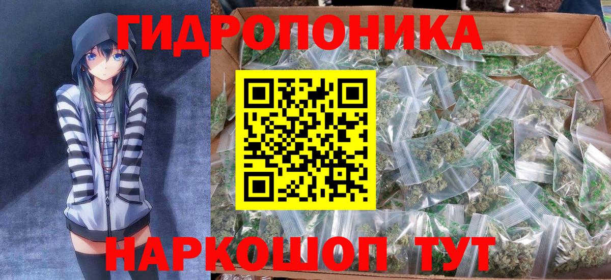 Конопля AK-47  Бошки Шишки конопля  Дятьково  Вход с VPN  Канабис сатива 